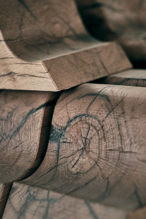 Tischlerei Spatzenegger - Holz, der Rohstoff aus den heimischen Wäldern